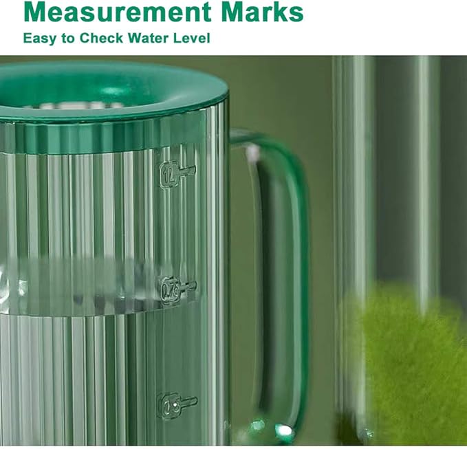 Indoor Plant Watering Can(34oz), Watering Can for Indoor Plants, Flowers, Succulents, with Plant Mister Spray Bottle(10oz)