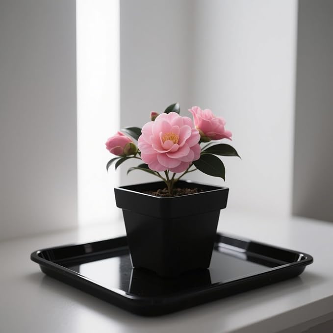 JOIKIT 15 PCS 11.4 x 11.4 x 1.5 Inch Square Plant Saucer, Plastic Plant Saucer Drip Tray, Square Flower Pot Tray for Indoors and Outdoor Plant Pots, Black