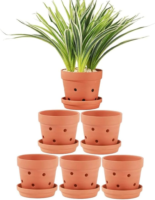 Yishang 4.6 Inch Clay Orchid Pots with Drainage Holes & Saucers - 6 Pack Small Terracotta Planter Pots for Repotting, Plant Flower Pots for Orchid Indoor & Outdoor, Promotes Air Circulation
