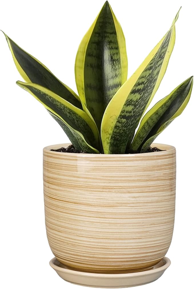 Ceramic Plant Pot 5 Inch - Modern Round Succulent Planter for Indoor Plants with Drainage Hole and Saucer, Office Home Room House Decor, Yellow