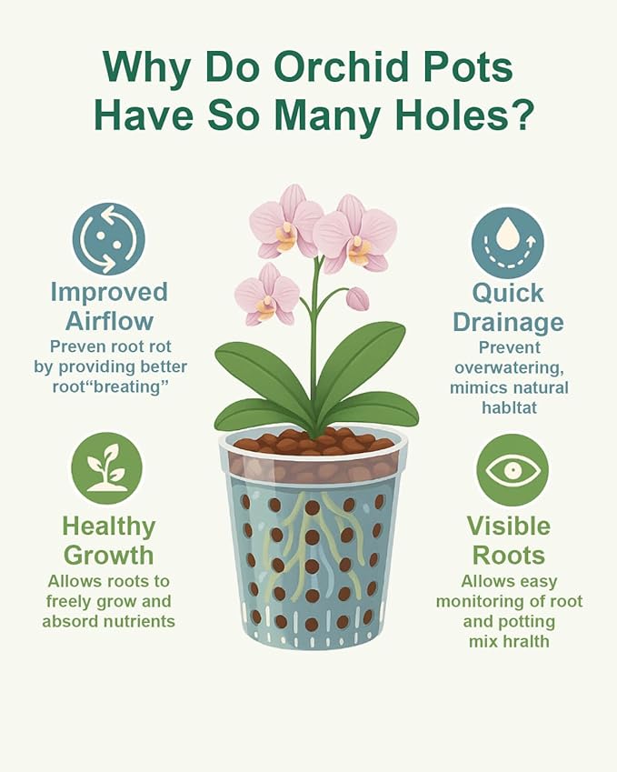 vensovo Terracotta Orchid Pots with Holes and Saucers - Clay Orchid Planter Pots for Repotting, Plant Flower Pots for Orchid Indoor and Outdoor Promotes Air Circulation