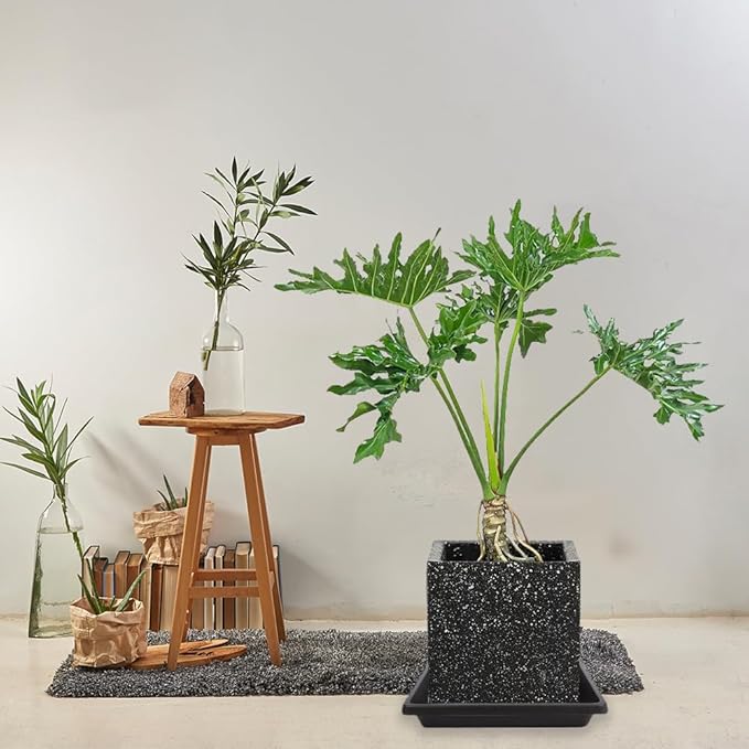 Square Plant Saucer 8 Inch 2 Pack 6 10 12 14 16 18 20 inch, Saucers for Potted Plants and Water Catcher Tray, Plant Drip Trays and Flower Pot Saucers, Plant Saucers for Indoors and Outdoors