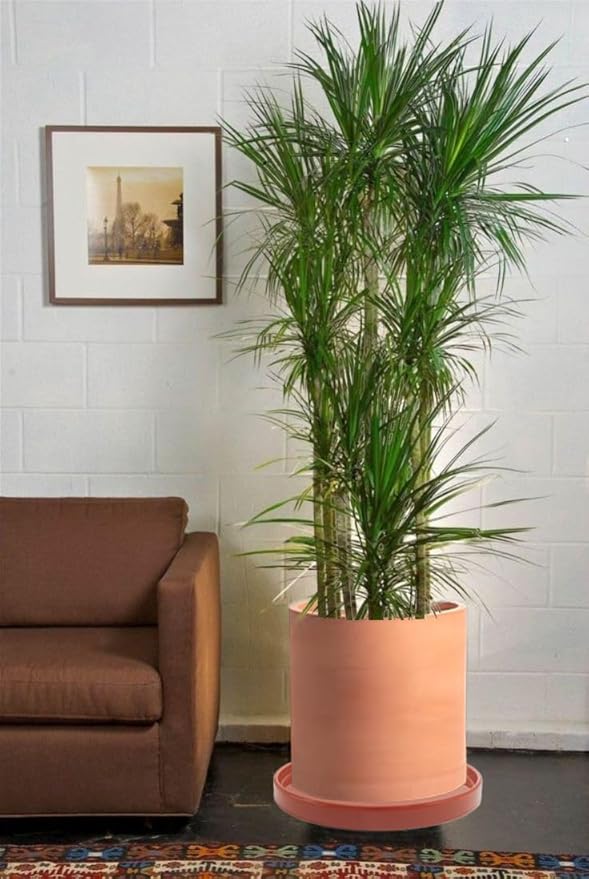 Ceramic Plant Saucer Pot Tray 12.5 Inch, Planter Saucers 6 7 8 9 10 11 12 15 Inch, Durable Sturdy Flower Drainage drip Water Tray for Glazed Pots Base (12.5 Inch- Red Terracotta)