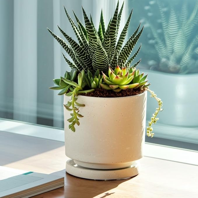 Nihow 5.7 Inch Plant Pot, Ceramic Pots for Plants with Drainage Hole and Saucer, Plant Pots Indoor for Home Garden Patio Office, Cylinder Planters for Indoor Plants, White