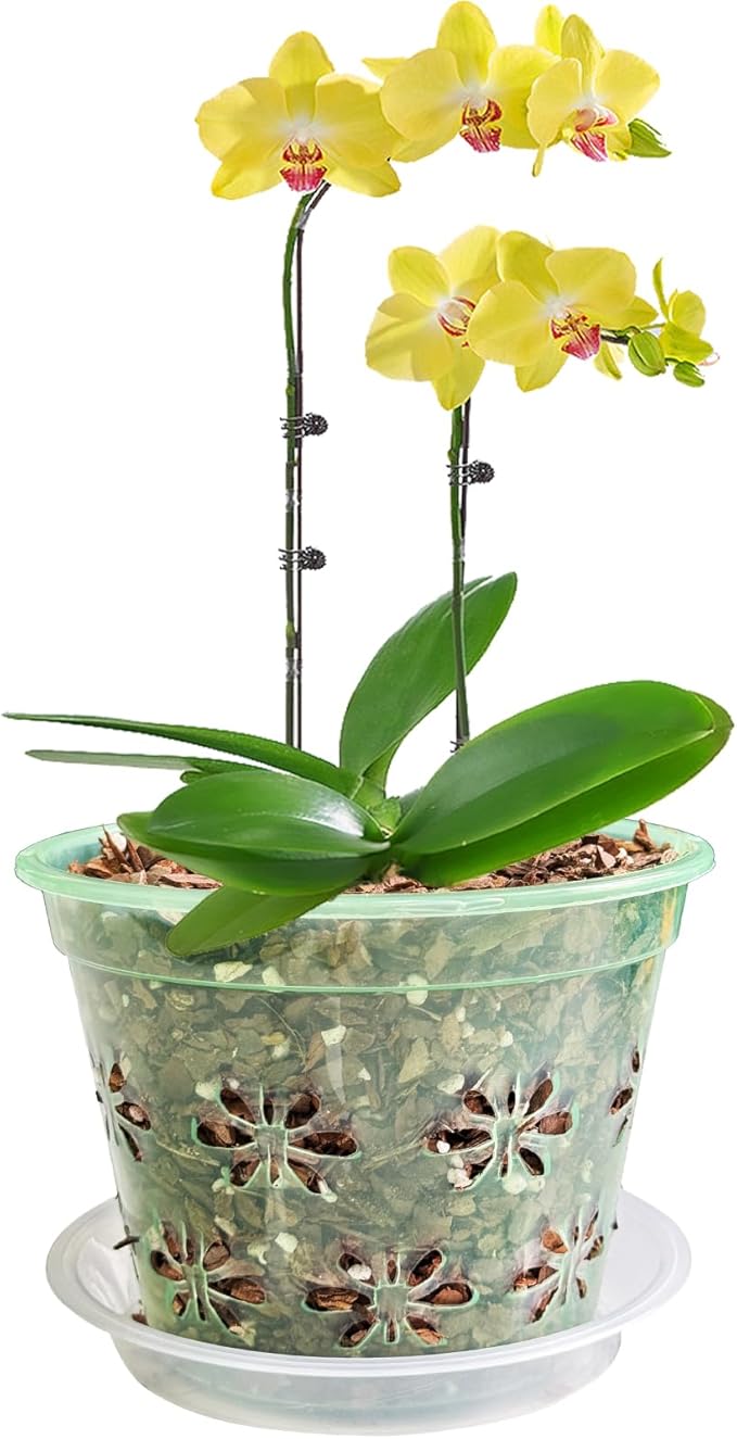 Orchid Pot, 8 Pack Orchid Pots with Holes & Saucers, Clear Plastic Pot for Repotting, Breathable Ventilation Planters for Phalaenopsis, Dendrobium & Oncidium Orchids(4 inch, Green)