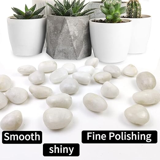 2LB Polished White River Rocks,1-2.2 Inch Pebbles for Plants Stones for Landscaping Pebbles for Fish Tank Garden Vase Filling Pebbles Outdoor Decorative River Rocks