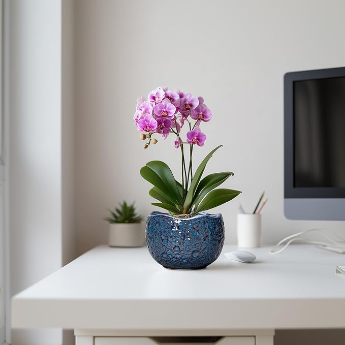 6 Inch Plant Pot - Ceramic Pots for Plants with Drainage Hole, Round Orchid Pot, Unique Planter for Indoor Outdoor, Modern Decorative Flower Pots, Room Decor, Plant Lovers Gifts, Retro Blue