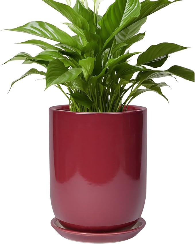 Ceramic Pot for Plants - 8 Inch Plant Pot Indoor with Drainage Hole and Saucer Cylinder Flower Pot for Indoor Outdoor Plants Home Patio Office Decor Red