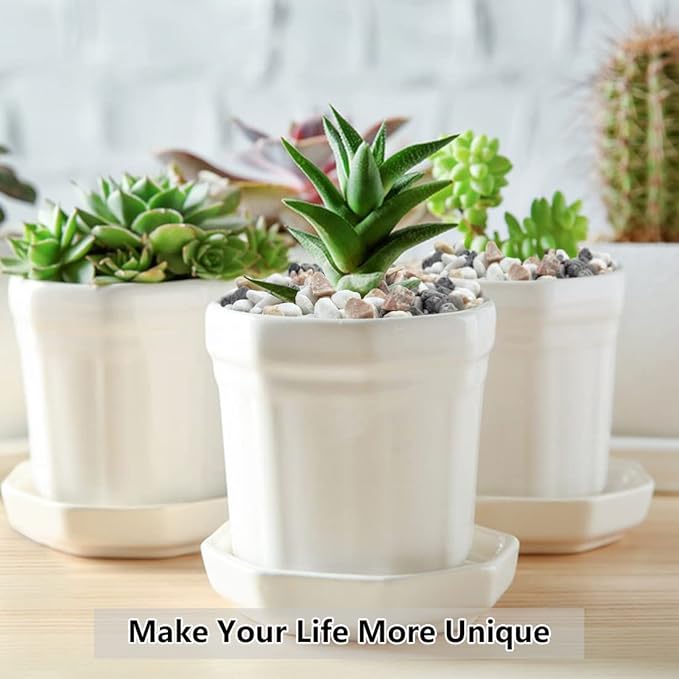 10LB Succulent and Cactus Gravel Pebbles, 1/5 Inch Natural Decorative Polished Stones, River Rocks for Plants, Vases, Aquariums, Terrarium and Outdoor Gardening,Mixed Color