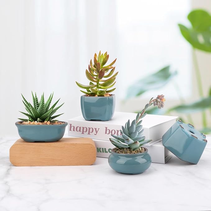 Bonsai Planter Mini Glazed Pots Succulent Value Set of 4, with 4 Soft Mesh Drainage Screens