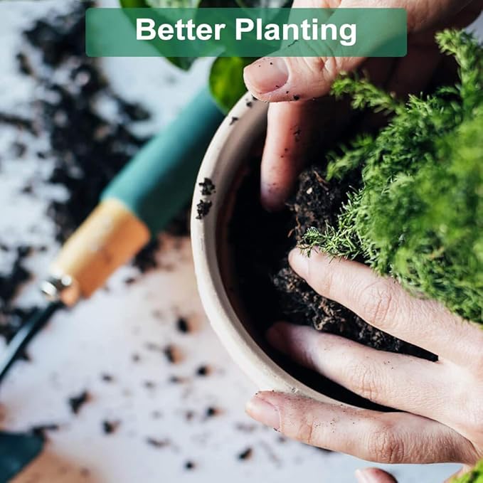 vensovo 4 Inch White Terracotta Plant Pots with Saucer - 6 Pack Clay Flower Pots with Drainage, Great for Plants, Crafts, Wedding Favor