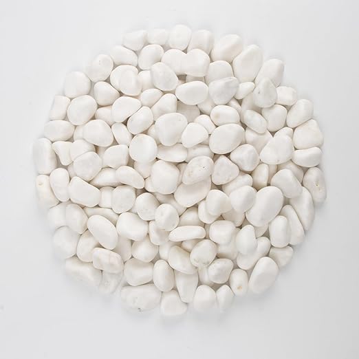 10 lbs White Polished Decorative Stones, 0.5-1 Inch Landscape Rocks for Indoor Plants, Garden, Outdoor Pathways, Vase Fillers, Pots, Glass Containers, and Craft Pro (Pure White, Weight: 10 LB)