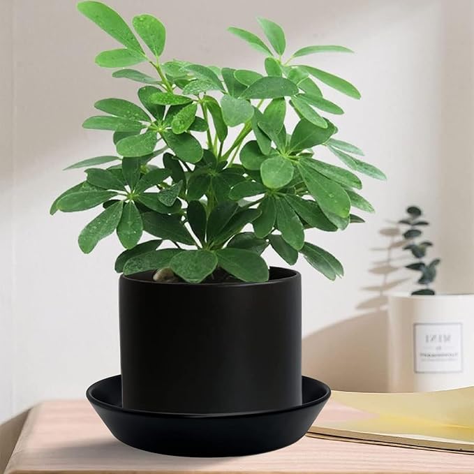 Ceramic Plant Saucers, 10 Inch (11 Inch) Plant Trays, Durable Round Glazed Ceramic Flower Plant Water Drip Tray for Pots Planter, Heavy Duty Plant Dish Plant Plate to Catch Water for Indoor & Outdoor