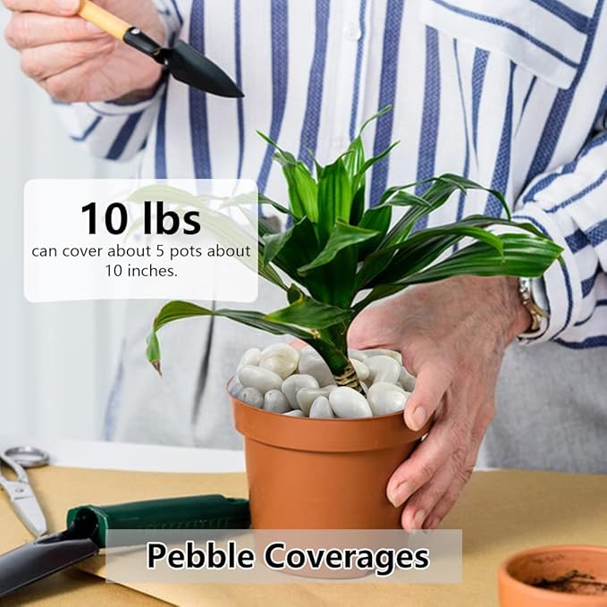 20lbs White River Rocks, 1-2 Inch Natural Pebbles for Indoor Plants, High Polished Decorative Stones Vase Filler Fish Tank Aquariums Landscaping Garden Outdoor and Indoor DIY