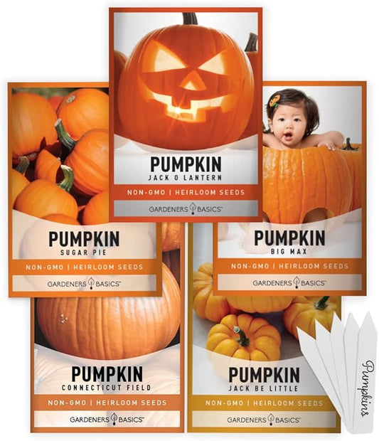 Gardeners Basics, Pumpkin Seeds to Plant - 5 Variety Baby Boo, Giant Big Max, Jack Be Little, Jack O Lantern, Sugar Pie, Great for Pumpkin Seed for Summer, Fall, Pumpkin Seeds for Planting