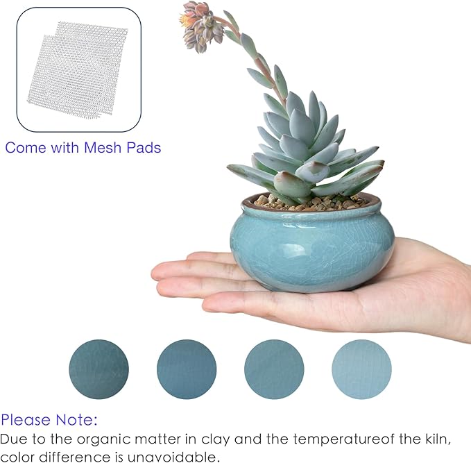 Bonsai Planter Mini Glazed Pots Succulent Value Set of 4, with 4 Soft Mesh Drainage Screens