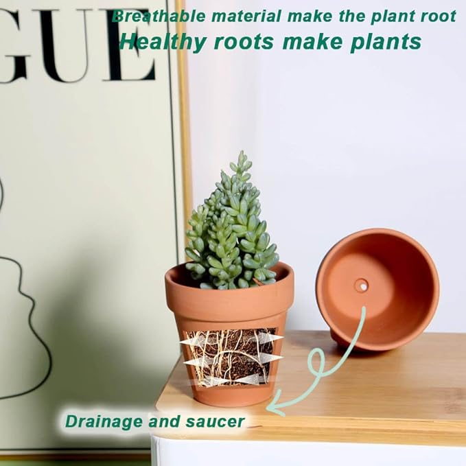 vensovo 3 Inch Terra Cotta & Terracotta Pots with Drainage - 20 Pack Clay Flowerpots, Succulent Nursery Planter Great for Plants, Crafts, Wedding Favor