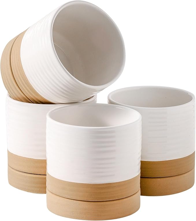 Hasense Small Plant Pot, 4.6 Inch Ceramic Succulent Flower Pots with Drainage Hole and Tray, White Indoor Planter Pot for Cactus, Gardening Home Desktop Office Windowsill Decoration Gift, Set of 4