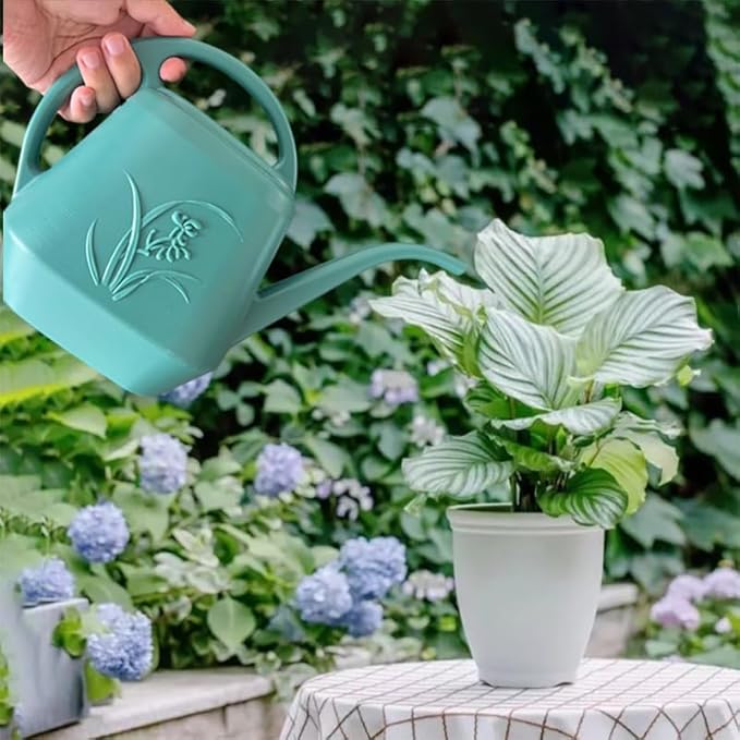 Plant Watering Can - Green - 1/2 Gallon