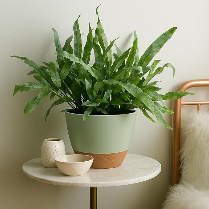 Plant Pots 12/10/9 inch Set of 3, Self Watering Flower Pots Indoor Outdoor, Planters with Drainage Hole Saucer Reservoir, Green