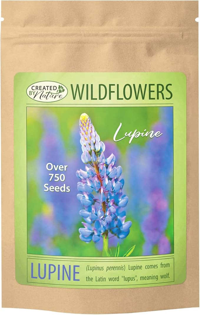 Perennial Blue Lupine Flower Plant Seeds (Lupinus perennis) - Over 750 Premium Seeds - Non GMO