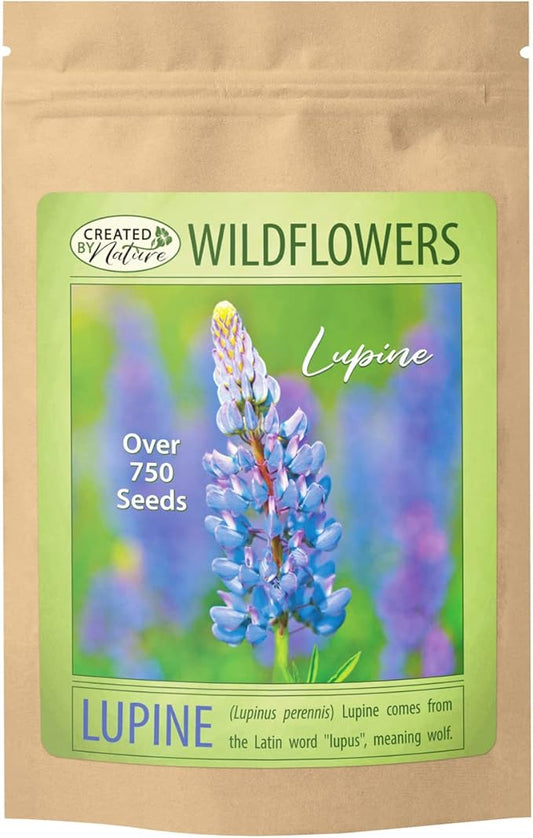 Perennial Blue Lupine Flower Plant Seeds (Lupinus perennis) - Over 750 Premium Seeds - Non GMO