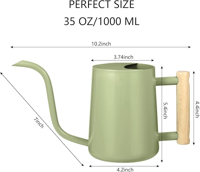 Watering Can Indoor Plants, 35oz Small Indoor Stainless Steel Metal Watering Can Modern Decorative Watering Pot with Long Spout for Indoor House Plant Bonsai Garden Flowers (Sage Green)