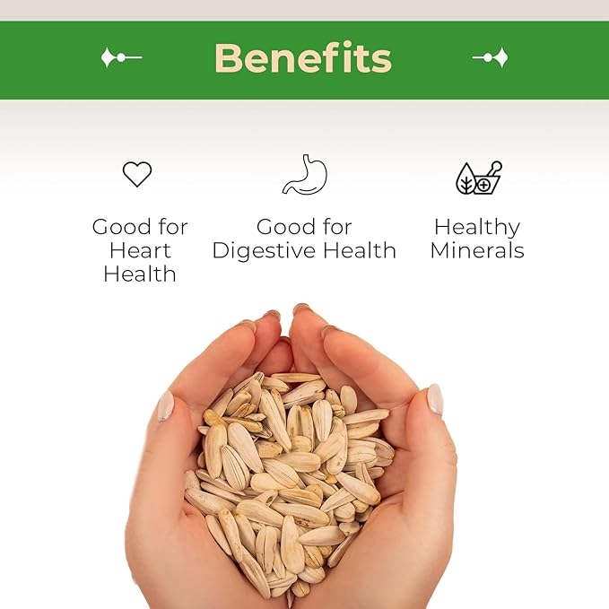 Sincerely Nuts Organic Sunflower Seed Kernels Raw (No Shell) (1lb bag) | Nutritious Antioxidant Rich Superfood Snack | Source of Protein, Fiber, Essential Vitamins & Minerals | Vegan and Gluten Free