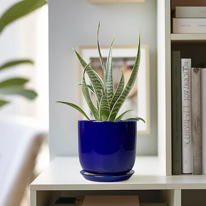 Succulent Pot 5 Inch - Modern Ceramic Planter for Indoor Plants with Drainage Hole and Saucer, Office Home Room Patio Decor, Blue