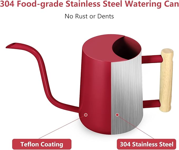 Watering Can Indoor Plants, 35oz Small Stainless Steel Metal Watering Can Modern Decorative Watering Pot with Long Spout for Indoor House Plant Bonsai Garden Flowers (Red)