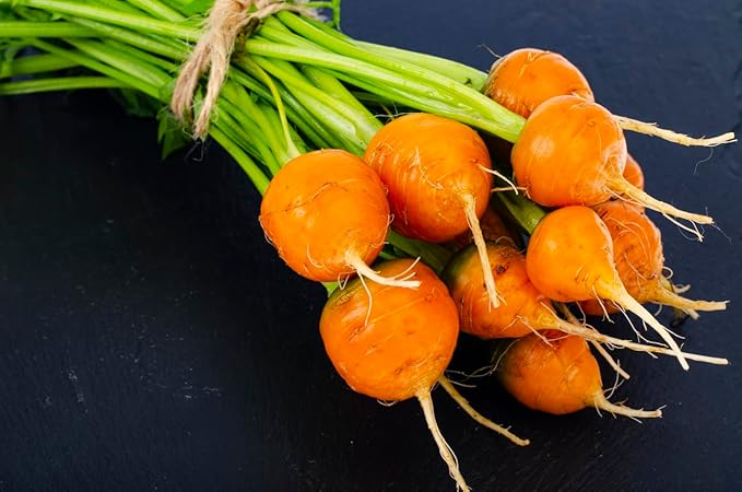 Rainbow Carrot Seeds - A Delicacy Prised by Gourmet Restaurants - 900 Seeds