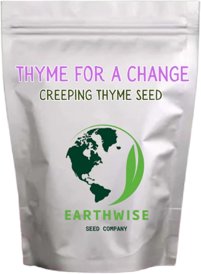 Thyme for a Change – Wild Creeping Thyme Seeds – 1 oz, Covers 500 sq ft (~16,000 Seeds) – Drought-Tolerant Ground Cover & Pollinator-Friendly Lawn Alternative (1oz)