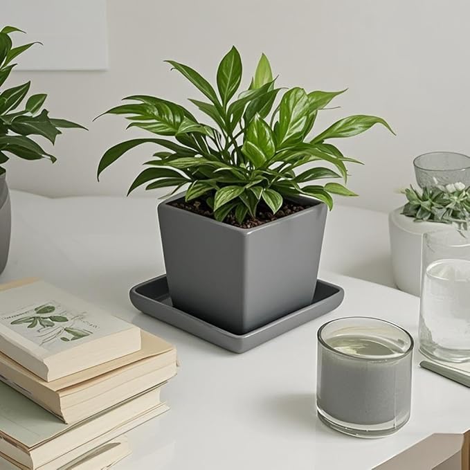 Square Plant Saucer 4 Inch 2 Pack，Plant Trays for Pots, Gray Ceramic Plant Saucers for Indoors Outdoors, Plant Drip Tray 4 6 8 10 12 14 Inch