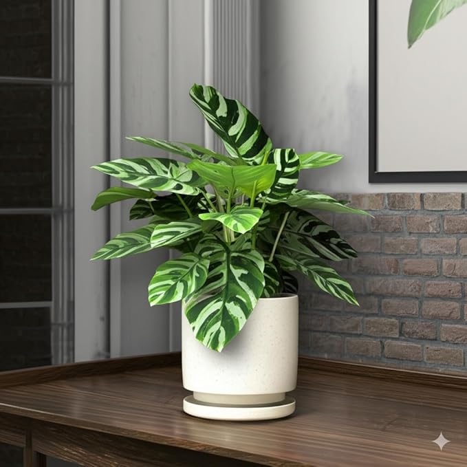 Nihow 5.7 Inch Plant Pot, Ceramic Pots for Plants with Drainage Hole and Saucer, Plant Pots Indoor for Home Garden Patio Office, Cylinder Planters for Indoor Plants, White