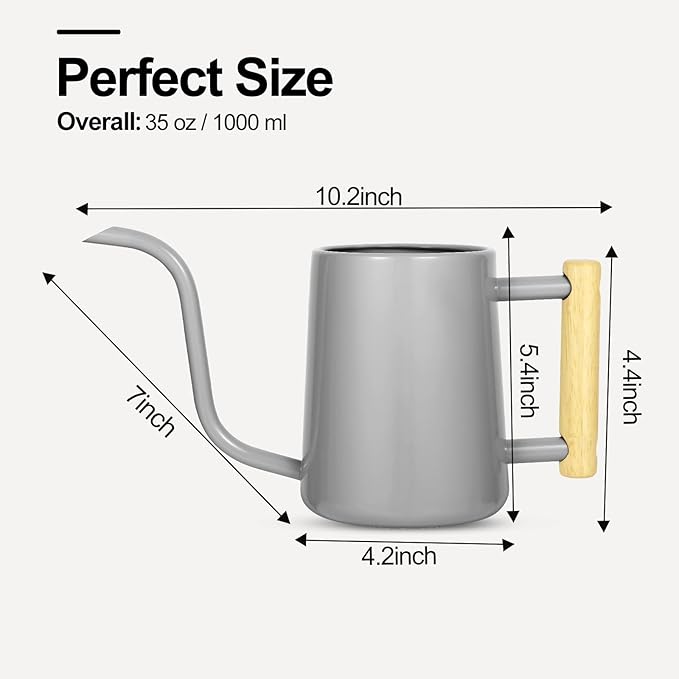 Watering Can Indoor Plants, 35 oz/1000 ml Metal Stainless Steel Watering Can Pot with Long Spout for Indoor House Plants Bonsai Outdoor Garden Flower Decorative (Gray)