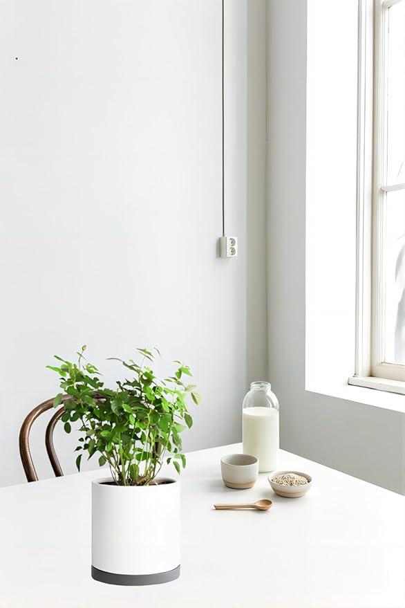 2 Pack Ceramic Plant Saucer Pot Tray 8 Inch, Planter Saucers 4 5 6 7 8 9 10 11 12 13 Inch for Indoors Outdoor, Durable Sturdy Flower Drainage drip Water Tray for Glazed Pots Base (8.5 Inch-Grey)