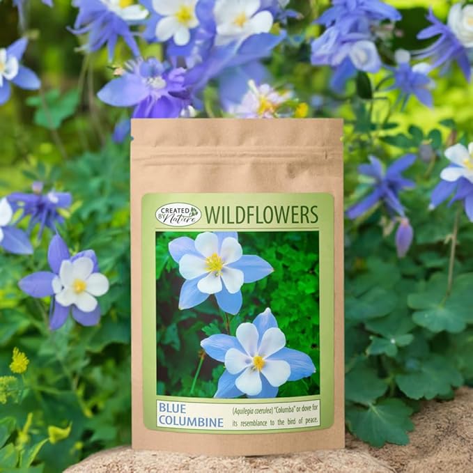 Created By Nature Blue Columbine Flower Seeds, 2,400 Perennial Seeds, Colorado State Flower