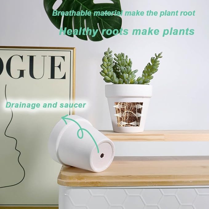 vensovo 3 Inch White Terra Cotta & Terracotta Pots with Drainage - 20 Pack Clay Flowerpots, Succulent Nursery Planter Great for Plants, Crafts, Wedding Favor