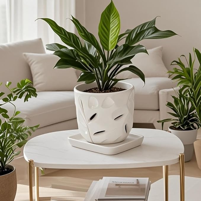 Square Plant Saucer 8 Inch 2 Pack，Plant Trays for Pots, White Ceramic Plant Saucers for Indoors Outdoors, Plant Drip Tray 4 6 8 10 12 14 Inch