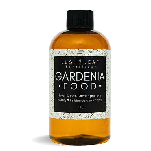 Lush Leaf | Plant Food (Gardenia)