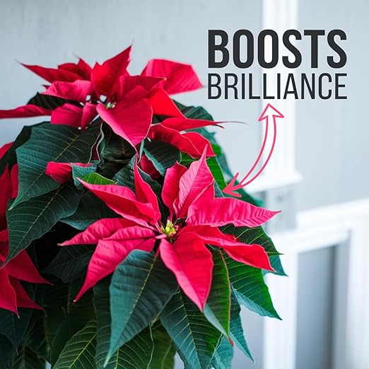 Premium Holiday Plant Food Mist - 3-1-2 Liquid Fertilizer Spray for Poinsettias, Christmas Flowers, and Greenery - 8oz