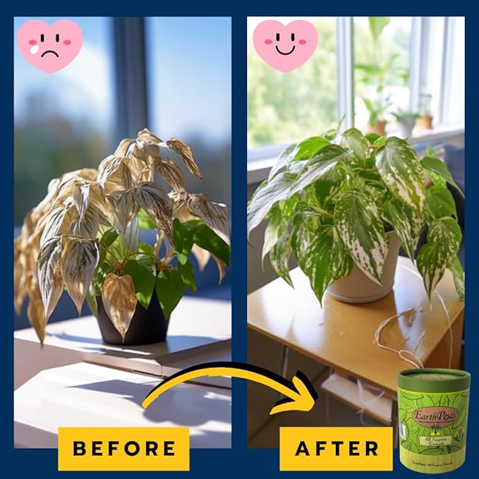 EarthPods® Indoor Plant Food Spikes – 100 Slow-Release Organic Fertilizer Capsules | Mess-Free Nutrition for Houseplants | Made in USA