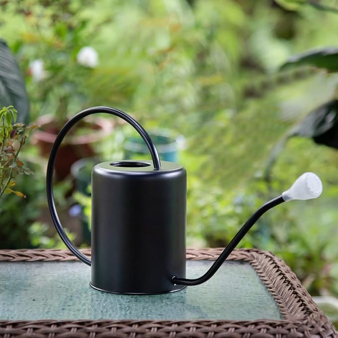 Stainless Steel Black Colored Watering Can 1/2 Gallon 68oz Long Spout Watering Pot for Indoor Plant Watering or Outdoor Gardening with 2Pcs Removable Spray Spout for Flowers