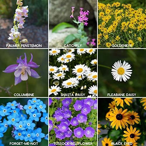 Rocky Mountain Wildflower Seeds Mix - 5 Lb Seed Pouch - 22 Wild Flower Seed Varieties - Annuals, Perennials and Bi-Annuals - Flower Garden