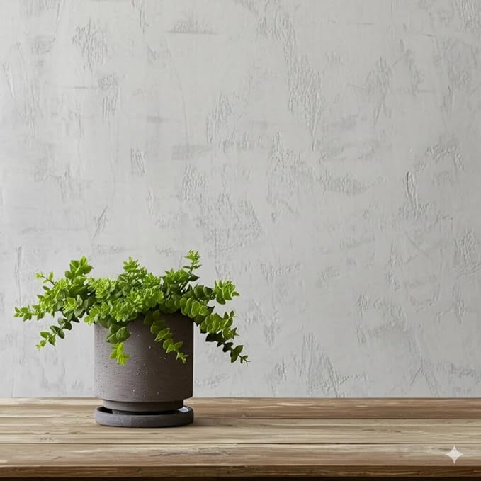 Nihow 5.7 Inch Plant Pot, Ceramic Pots for Plants with Drainage Hole and Saucer, Plant Pots Indoor for Home Garden Patio Office, Cylinder Planters for Indoor Plants, Charcoal Gray