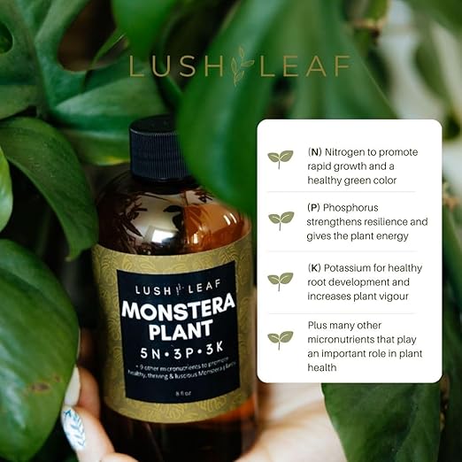 Lush Leaf | Plant Food (Monstera)