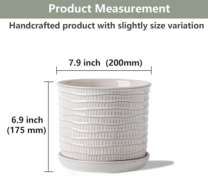 8 Inch Plant Pot: Ceramic Planter with Drainage Hole & Saucer for Indoor Outdoor Plants - Flowerpot with Bonded Tray for Home Office - Wave Embossed