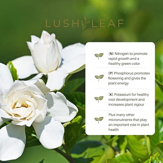 Lush Leaf | Plant Food (Gardenia)