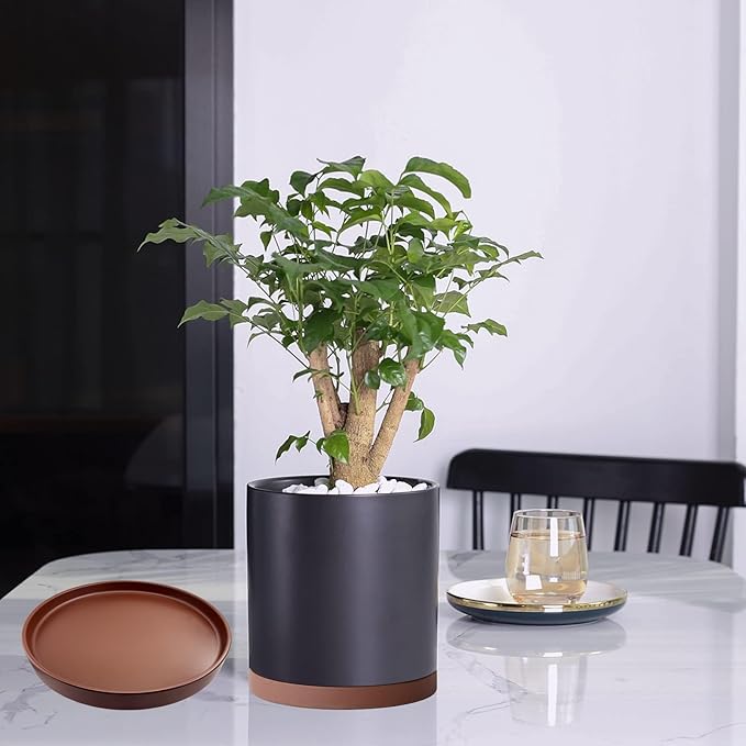 2 Pack Ceramic Plant Saucer Pot Tray 8 Inch, Planter Saucers 4 5 6 7 8 9 10 11 12 13 Inch for Indoors Outdoor, Durable Sturdy Flower Drainage drip Water Tray for Glazed Pots Base (8.5 Inch-Brown)