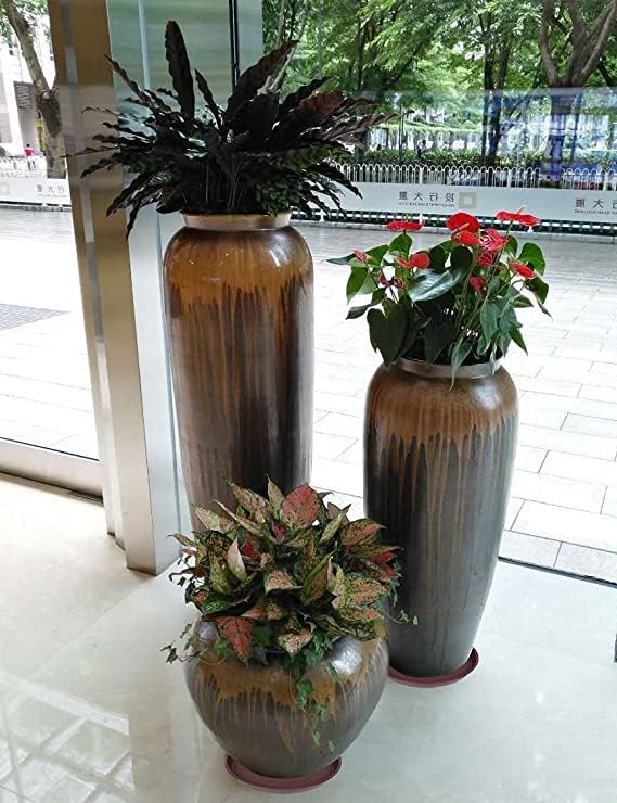 2 Pack of Bird Bath Bowl 12", 1.6" Depth, 10 12 inch Birdbath Bowls Dish Only for The Garden, Large Plant Saucer (12", Chocolate)